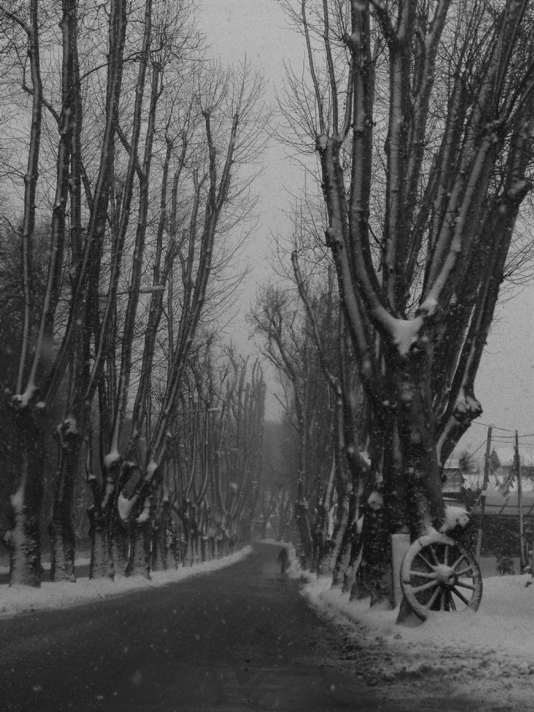 Beyaz,Beyaz olarak kalmal...