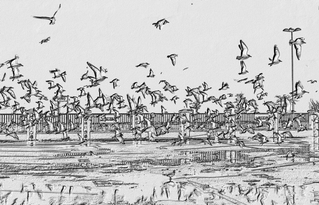 ^^  M A R T I L A R  ^^