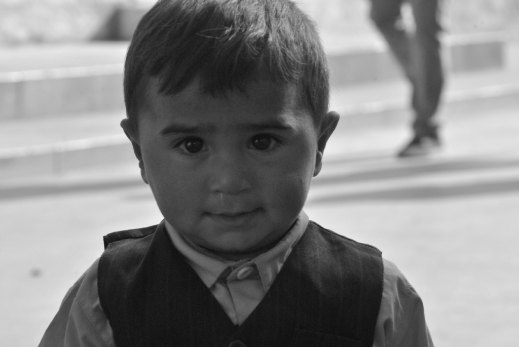 K���k M�lteci