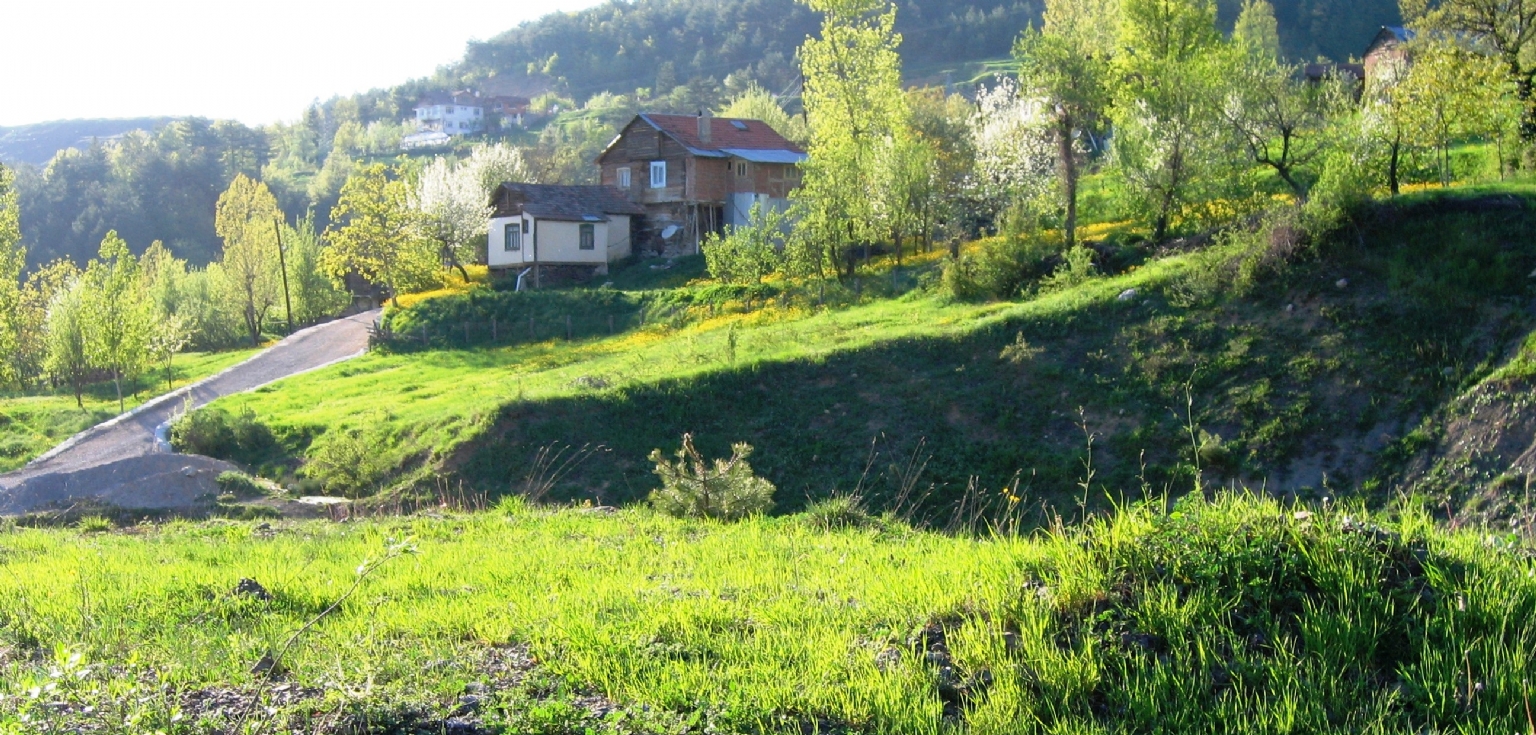 nebolu'ya giderken