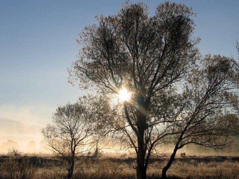 s���t a�ac�