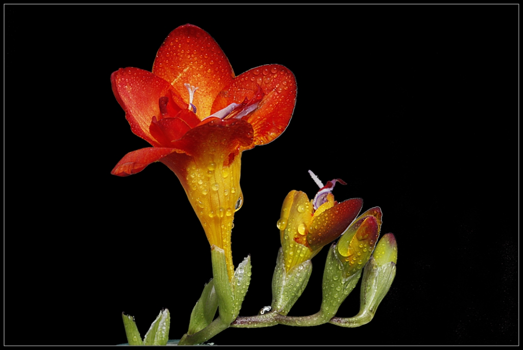 Mutlu, sa�l�kl� y�lar..