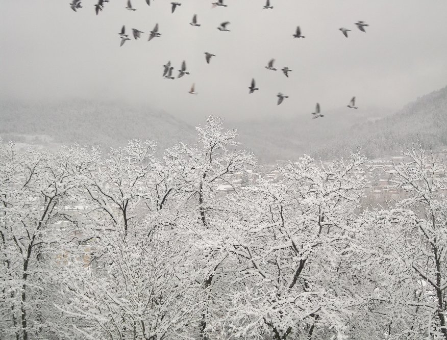 evimin balkonundan cekt�g�m resim