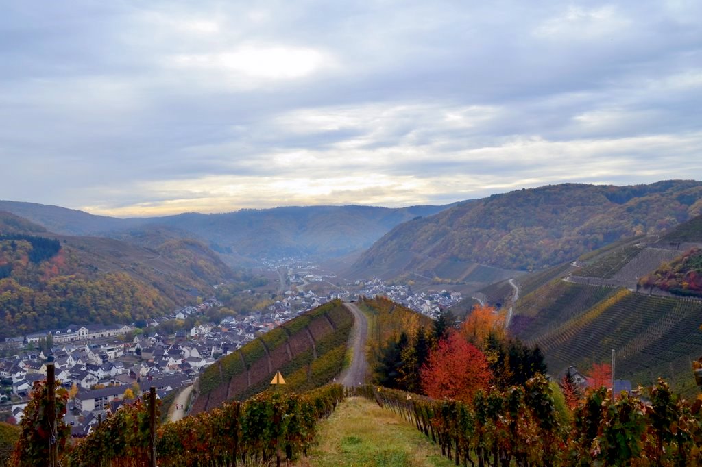 Buyurun �nin A�a��