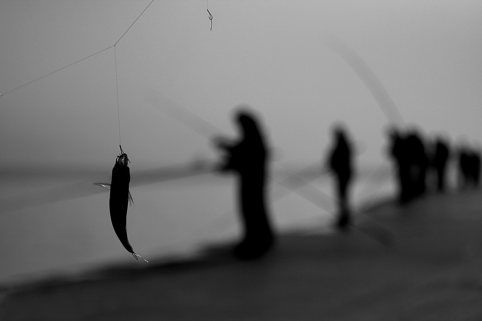 ad�: Bal�k (t�) !