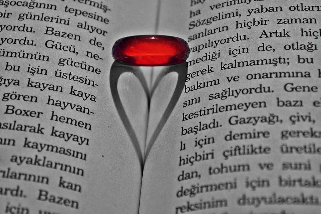 siyah beyaz d�nyan�n ���klar�