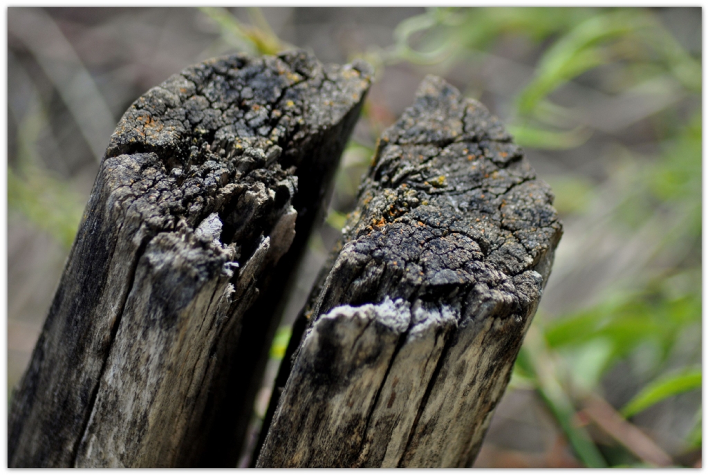 Kurumu� Kesilmi�