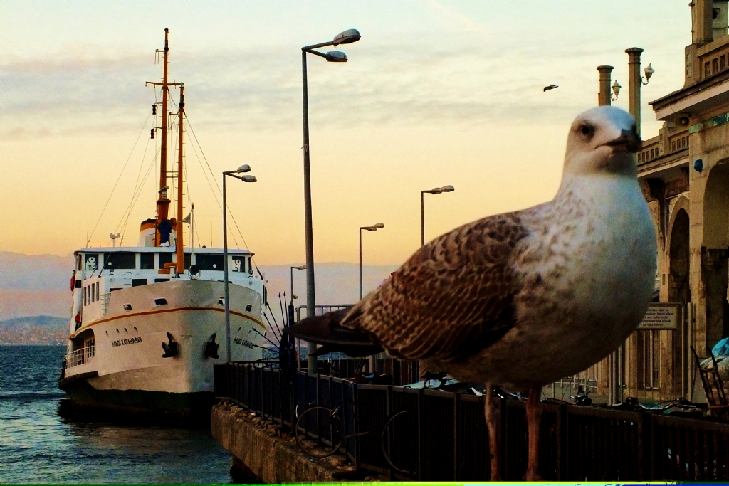 BykAda ve Yalnz Bir Mart