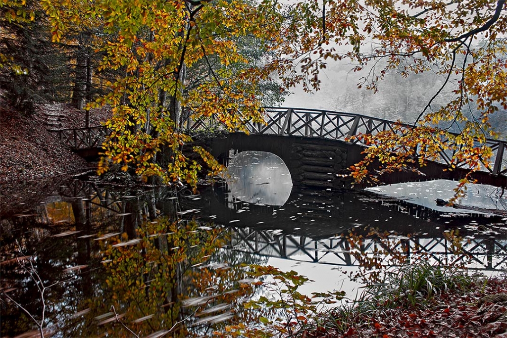 Sonbahar'da D��enlerin Ak�� Y�n� - Yedig�ller -201