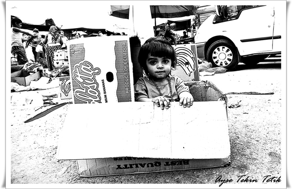 KARTONDAN HAYATLAR !.....