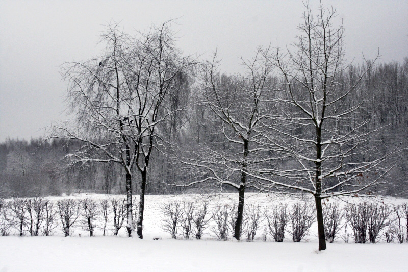 arka bahcemden kis manzarasi