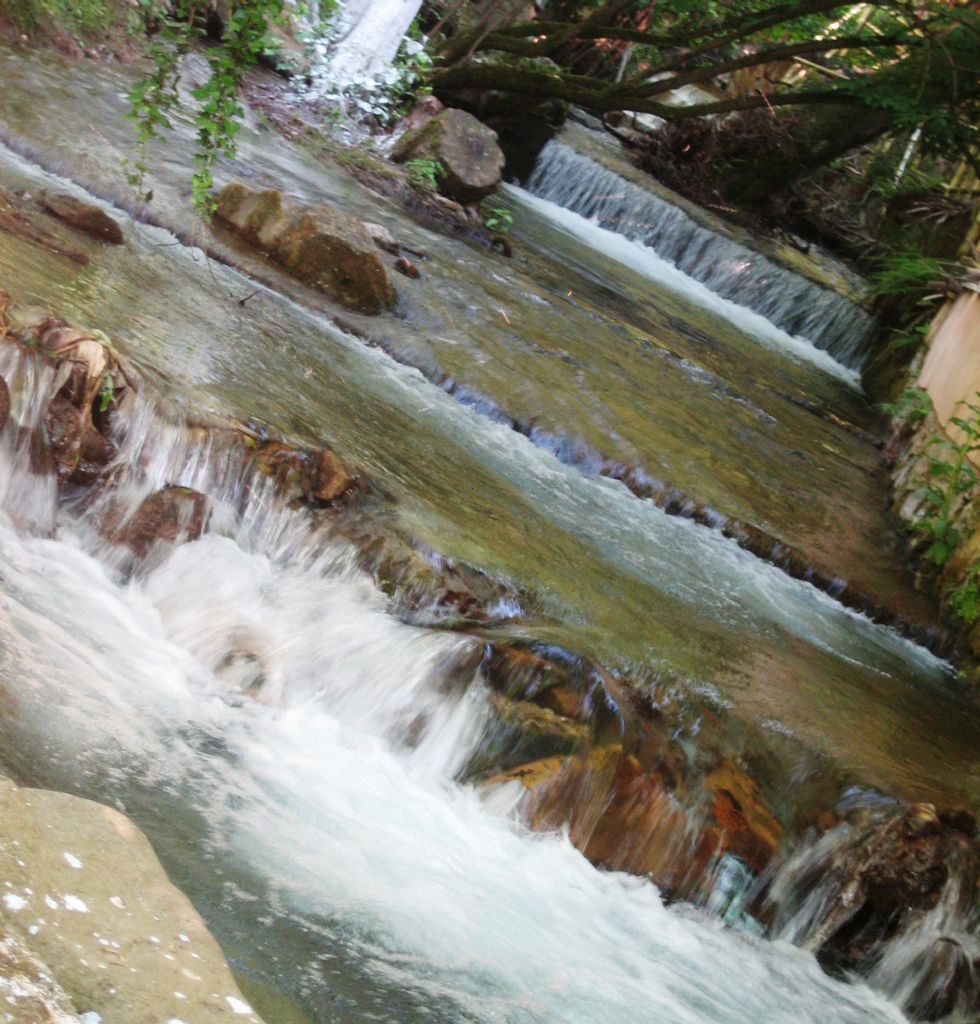 AKIP GDEN DEREM HAYAT MI ?