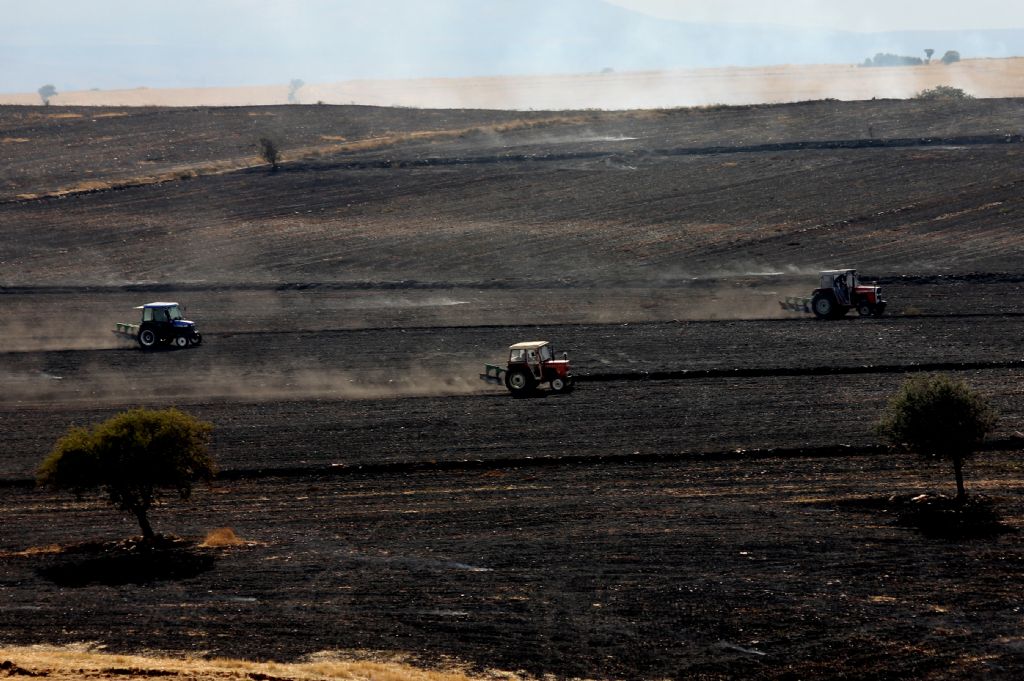 an�z yang�n� sonras�