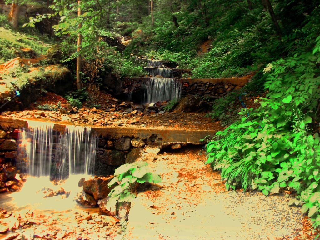 maka dalarndan szlen gzellik