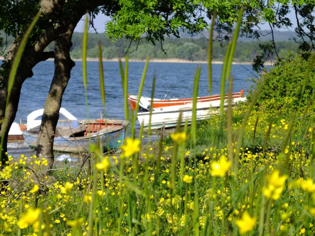 baharn gzel nameleri iekler