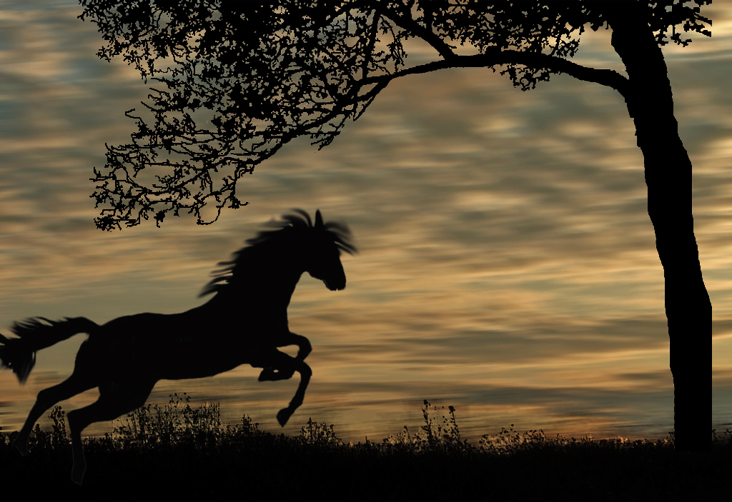 tm nf yesi arkadalarmn bayramn kutluyorum