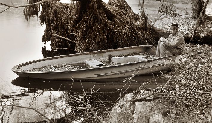 hayatn aknda beklemek...ve izlemek.
