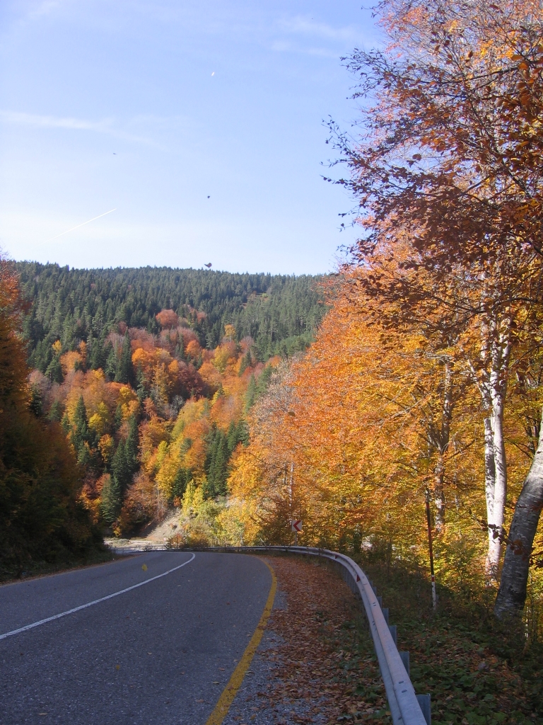 Kastamonu Yaralgzde sonbahar