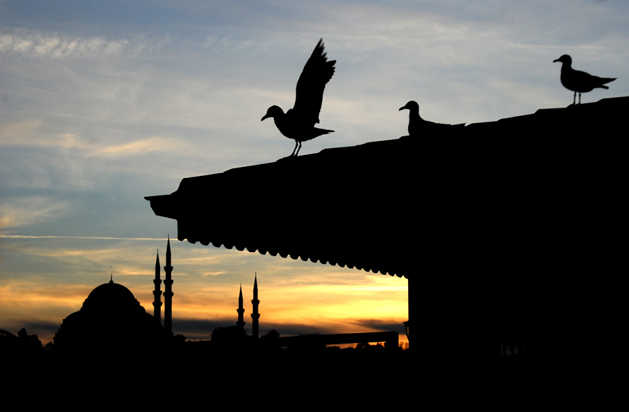 Haydi Abbas, Vakit Tamam