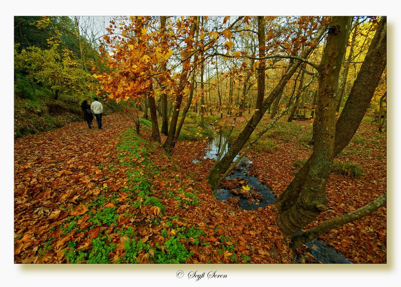 Son Bahar�ms�n...