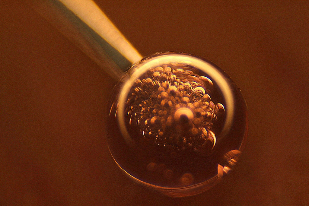 Toplu i�ne- 18-55 ters lens denemesi