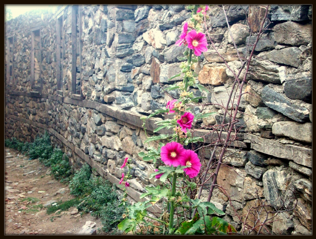 �i�e�in inad�