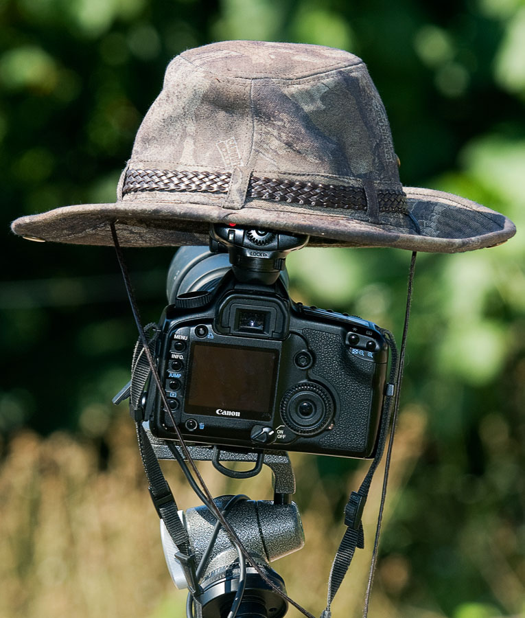 Kucunun Sonu .....:)