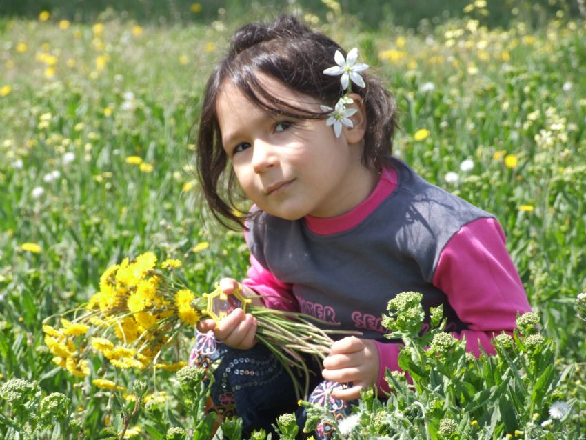 iekler iine bir gonca gl