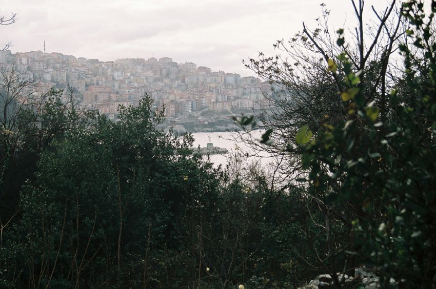 dallar aras�nda mendirek