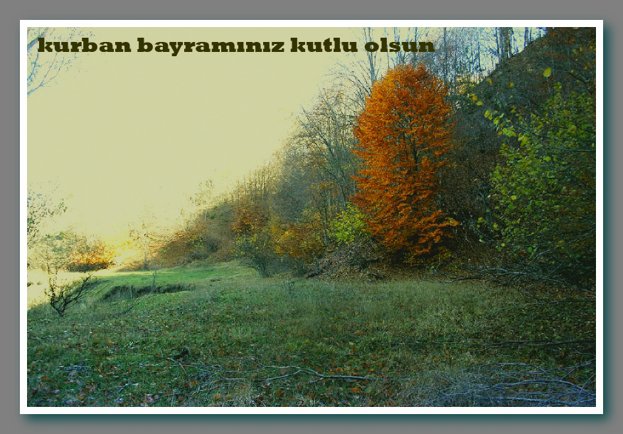 bayramnz kutlu olsun