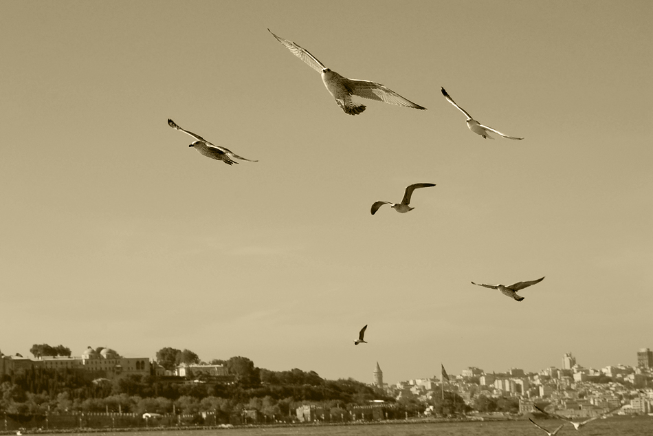 stanbul kanatlarmn altnda