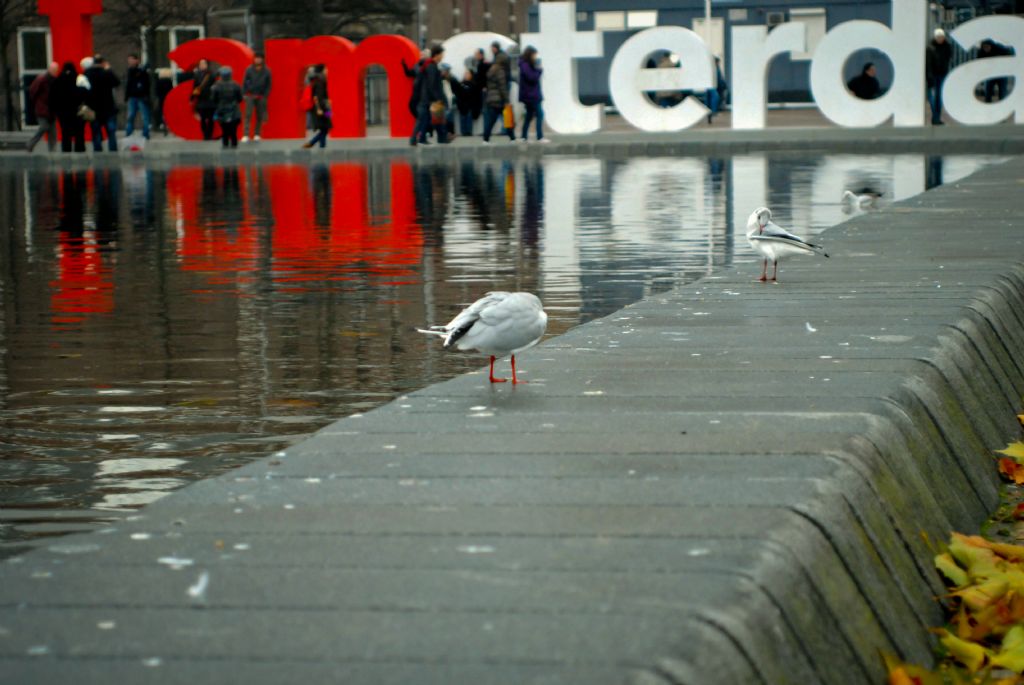 Kular ve Amsterdam