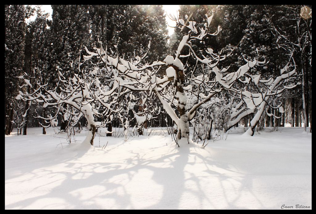 Erime daha doyamadm...