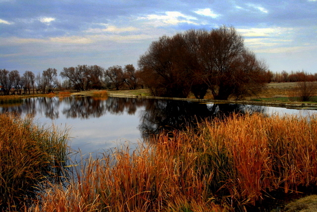 benim sonbaharmn rengi