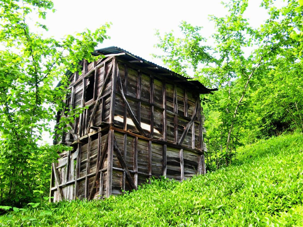 Ye�illikler i�inde.