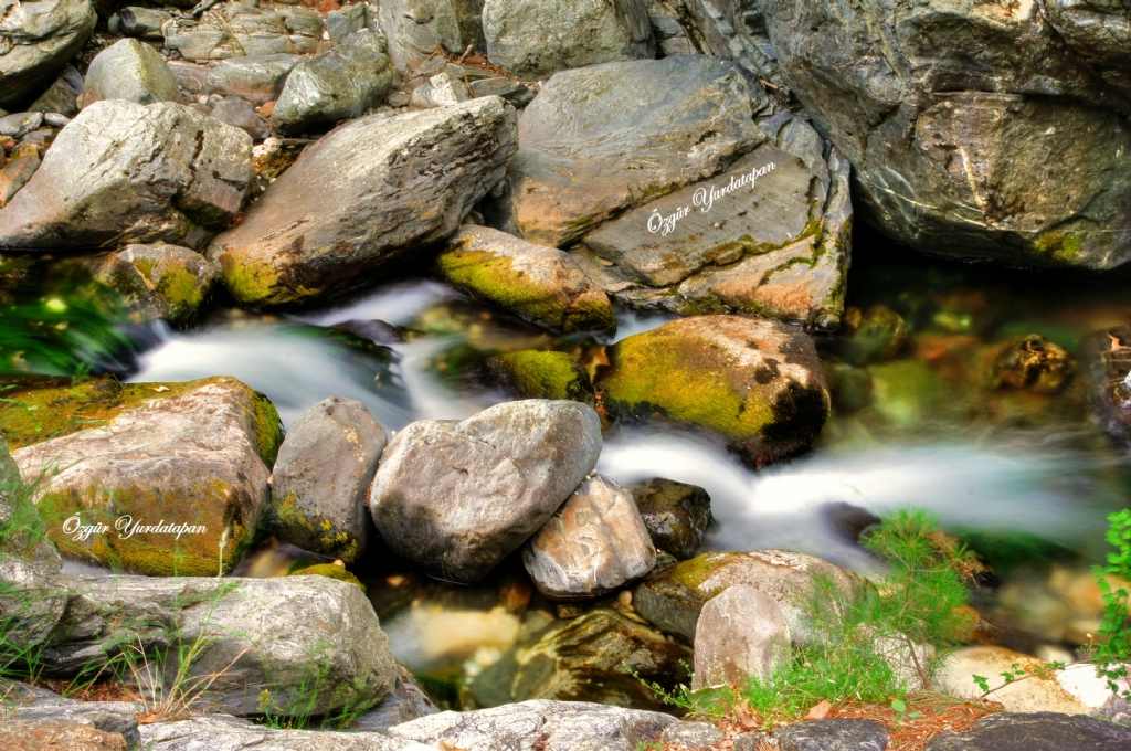 Hasanbo�uldu (S�t�ven) 2016 (4)