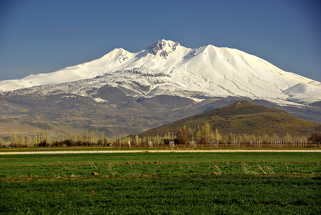 Bahara doru