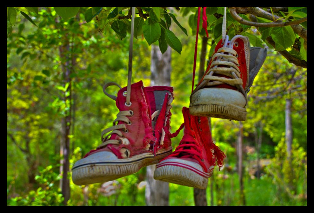 Ayakkab� a�ac�...