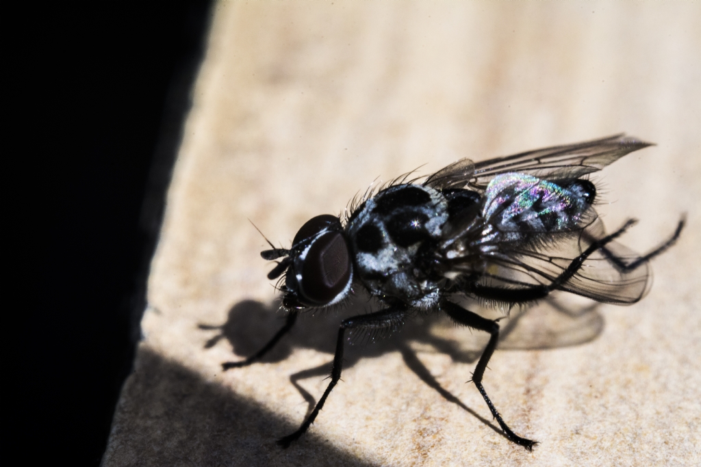 50mm ters ba�lant�+uzatma t�p�