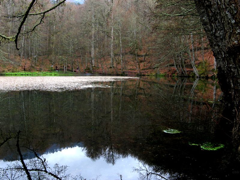 yedi gller serisi - 3