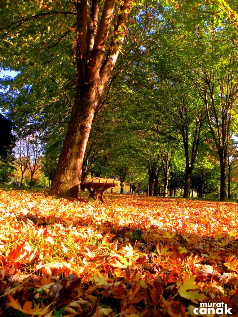 bursa-botanikpark