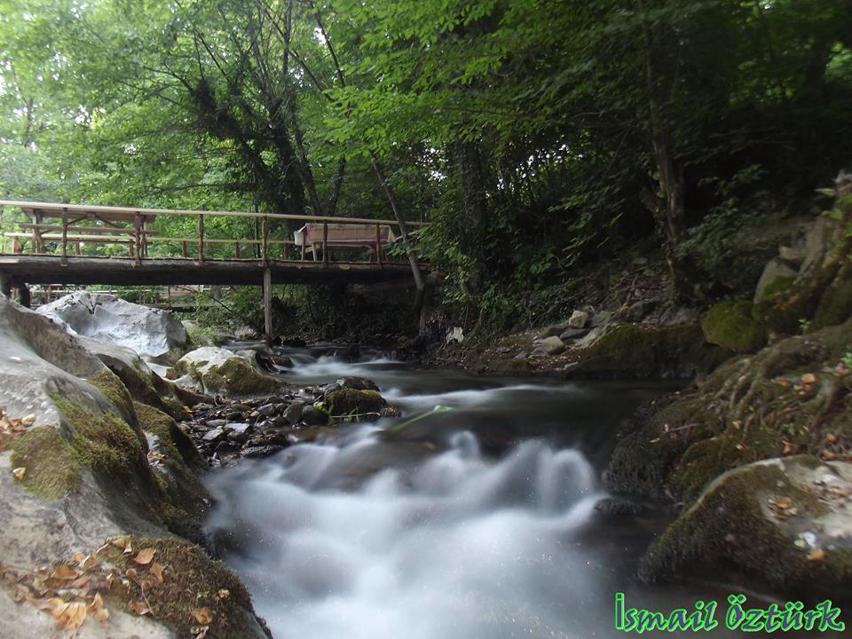 Aaavu Ky / Kalkm / anakkale.. (Kazdalar