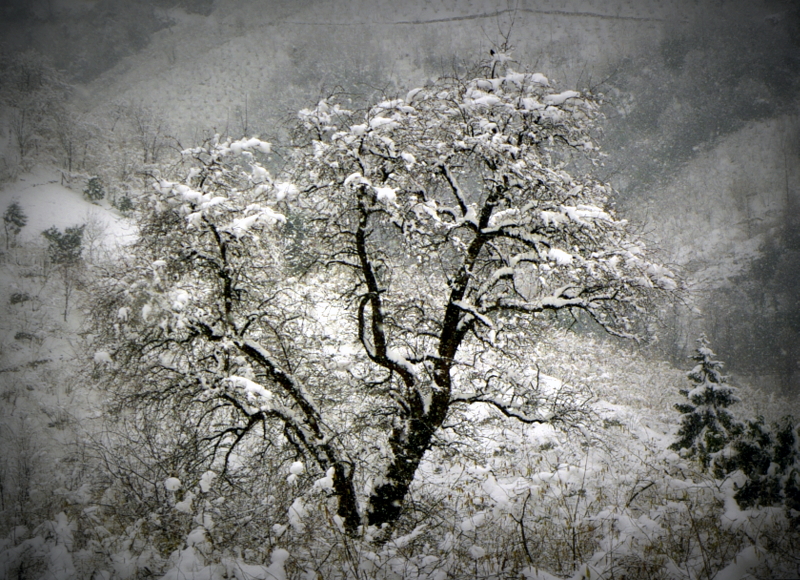 memleketten k manzaralar