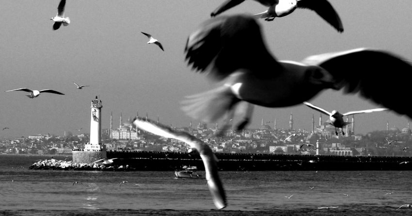 Kanatlarmn altnda....