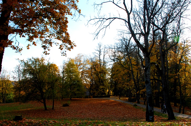 Letonya'da Sonbahar 2