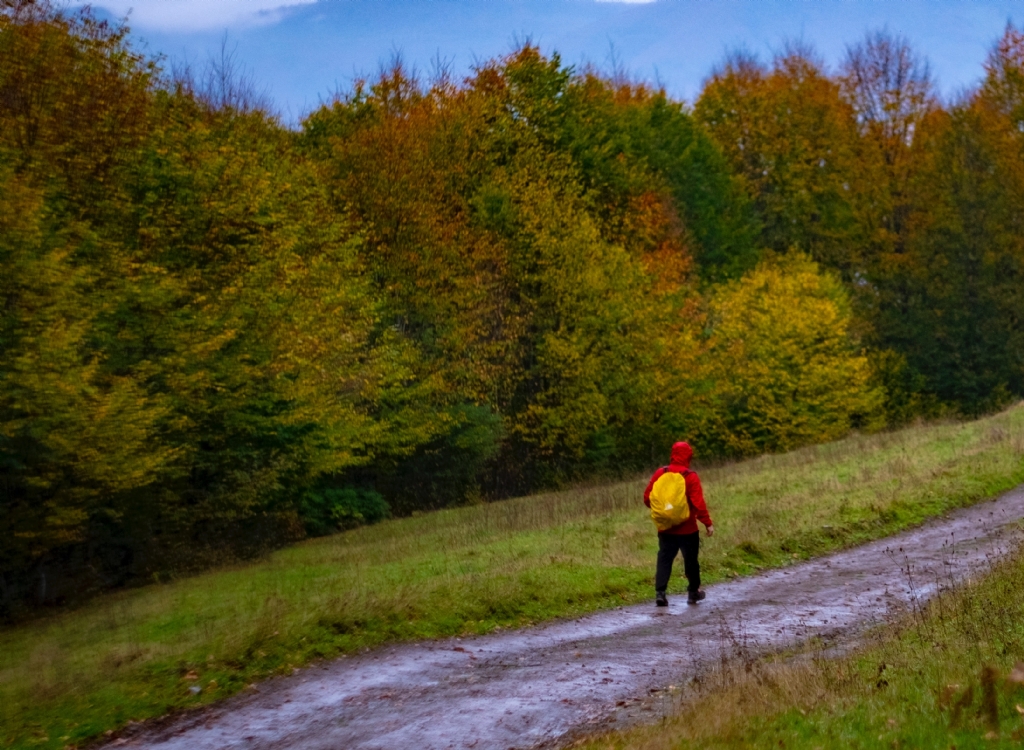 Gitme kalbini ���t�rs�n.