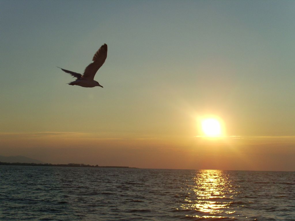 gn batmyla rplan kanatlar