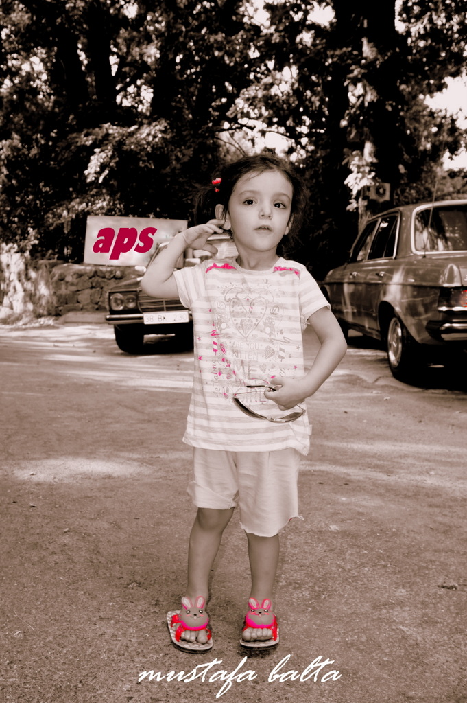 Hepicinize G�nayd�n