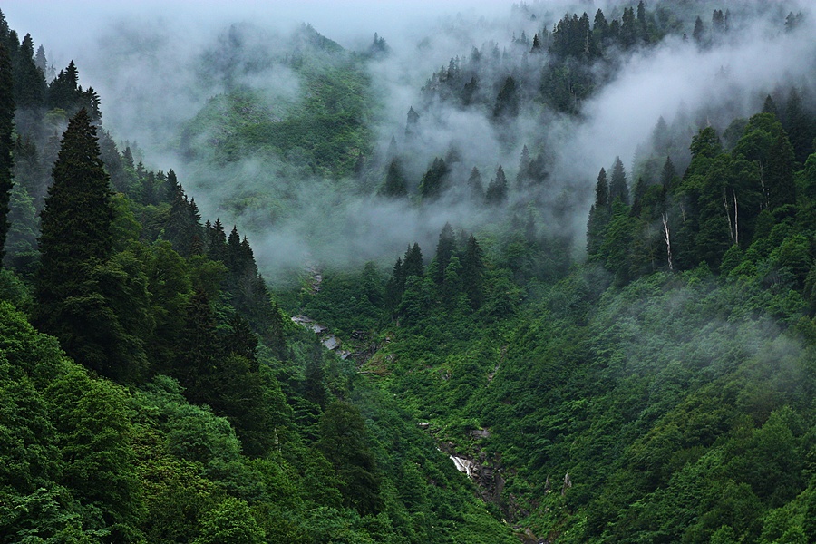 u dalarn duman da duman...