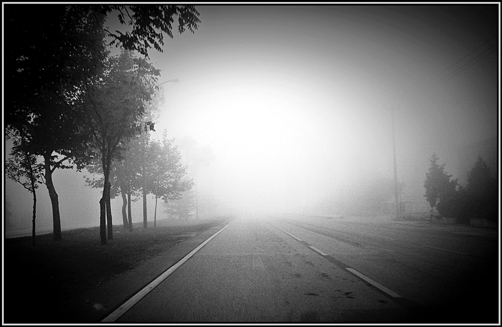 G�D�YORUZ AMA NEREYE ?